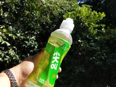 -呀诺达热带雨林