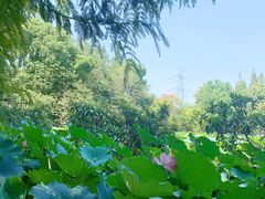 -乌村
