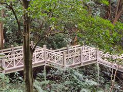 -南宁良凤江国家森林公园