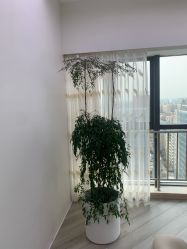 -HEYAN荷妍专业脱毛连锁机构