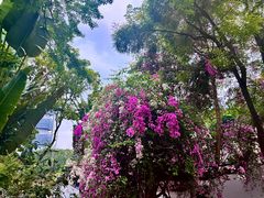 -深圳国际园林花卉博览园