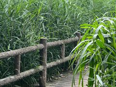 -成都市活水公园