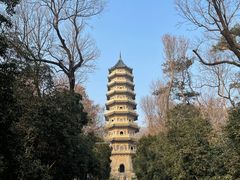 -灵谷景区