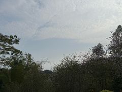 -田心森林公园