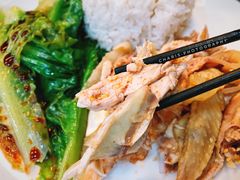 手撕鸡饭-宝兴源记手撕鸡(第88分店)