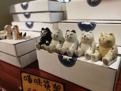 -猫咪博物馆(顶澳仔猫街店)