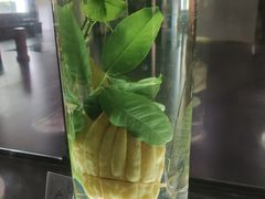 -广东中医药博物馆