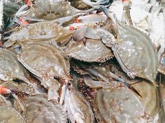 -半岛听涛蒸汽海鲜自助(K11店)