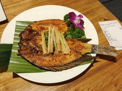 -紫滇源云南生态菜(丹凤街店)