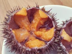 -海胆小馆(东北水饺·春柳店)