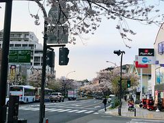 -成都濑川外国语学校