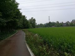 -桤木河湿地公园