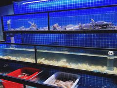 水产区-吉友粥底火锅(方斜路店)