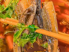 -高坎一品甲鱼庄(两河店)