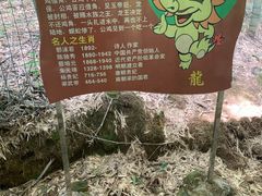 -众神白水涧景区