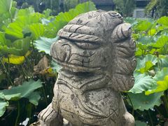 -上海醉白池公园