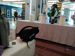 -红星美凯龙(浦江店)