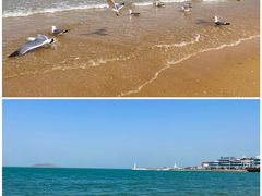 -金海滩海水浴场