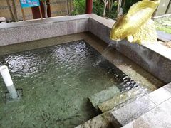 -金穗园温泉酒店