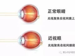 -沫芮眼镜·蔡司官方授权店(人民广场店)