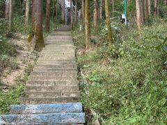 -长沙黑麋峰国家森林公园