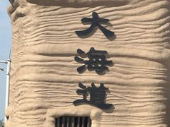 -哈密雅丹大海道景区