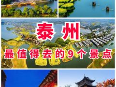 -溱湖国家湿地公园