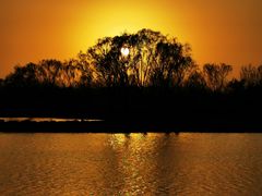 -大兴滨河森林公园