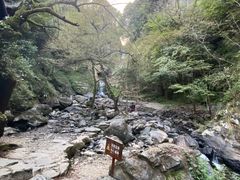 -石台牯牛降景区