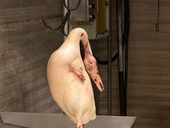 -全聚德烤鸭店(和平路店)