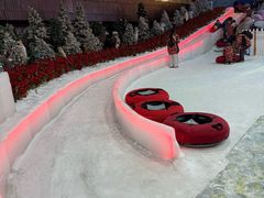 -世界之窗阿尔卑斯冰雪世界