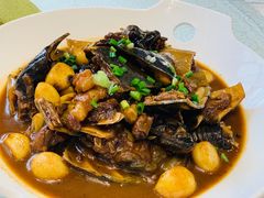 野生甲鱼-金锅小厨(乐活街店)