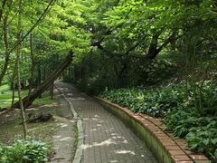 -棒棰岛宾馆景区