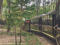 -合肥滨湖国家森林公园