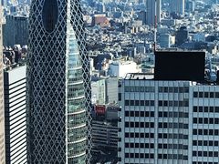 -东京都厅舍
