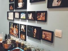-藦茜花园宠物主题亲子互动体验馆(国顺东路店)