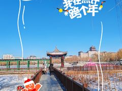 -莲花池公园
