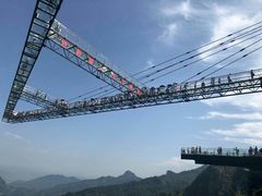 -梦幻奥陶纪景区