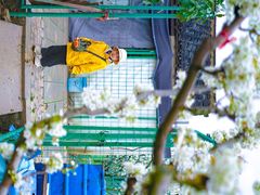-树山生态村