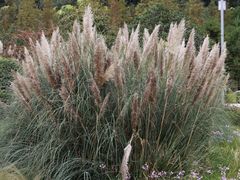 -贵阳市花溪国家城市湿地公园