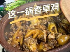 -霞姐屯昌枫木香草鸭店(海螺店)