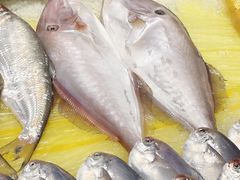 -健眺小海鲜(临海后山店)