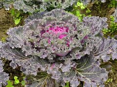 -中国天府农业博览园