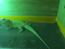 -酷嗒动物文化乐园(cutezoo西溪乐天城店)