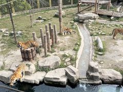 -上海野生动物园