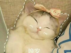 -KenGee仟吉(步行街店)