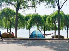 -丁香湖公园