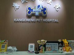 -康成宠物医院24H·CT·核磁共振