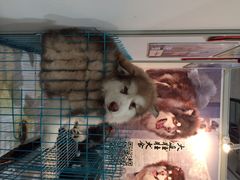 iphone_upload_pic-东浩兰生上海世博展览馆