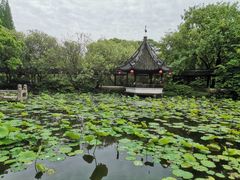 -上海醉白池公园